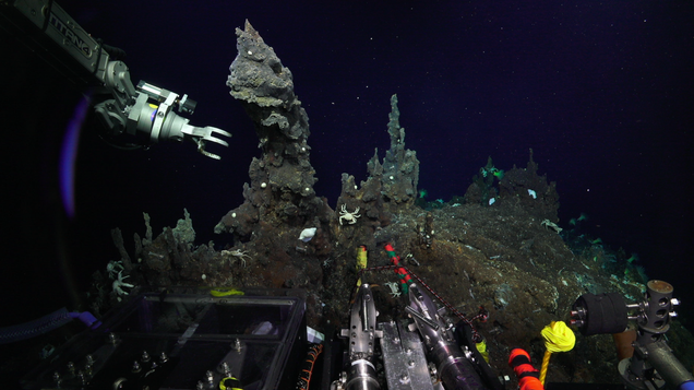 Image: Schmidt Ocean Institute